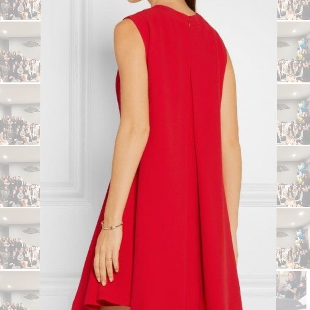 Alexander McQueen Dress